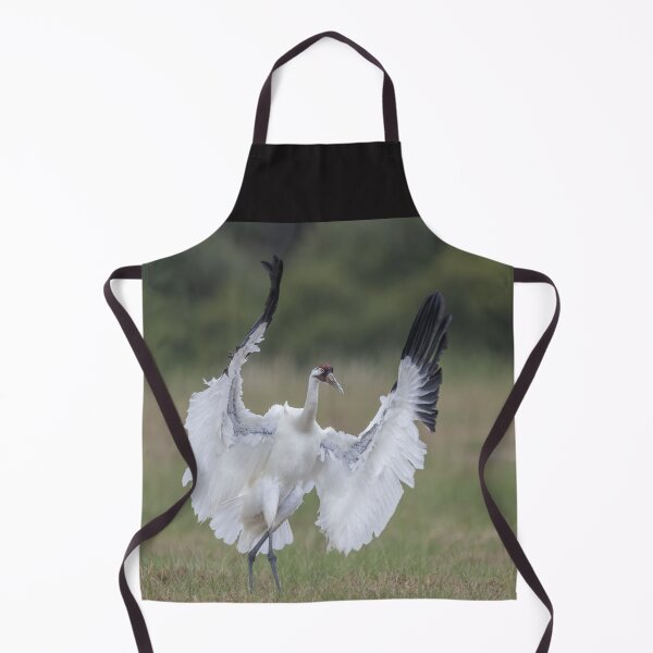 Item preview, Whooping crane in action designed and sold by Puttaswamy Ravishankar.