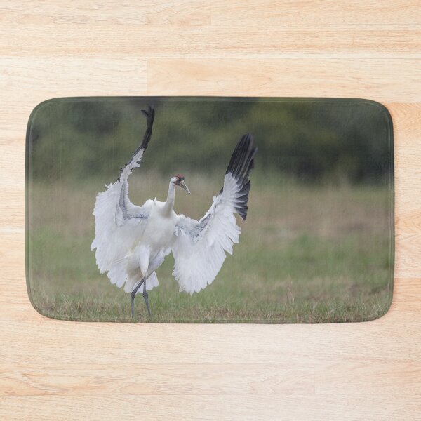 Item preview, Whooping crane in action designed and sold by Puttaswamy Ravishankar.