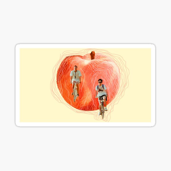Call Me By Your Name Sticker