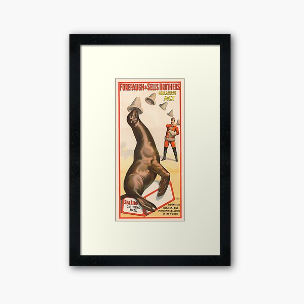 Item preview, STK501849A-Vintage circus poster of a sea lion catching hats. designed and sold by StocktrekImages.