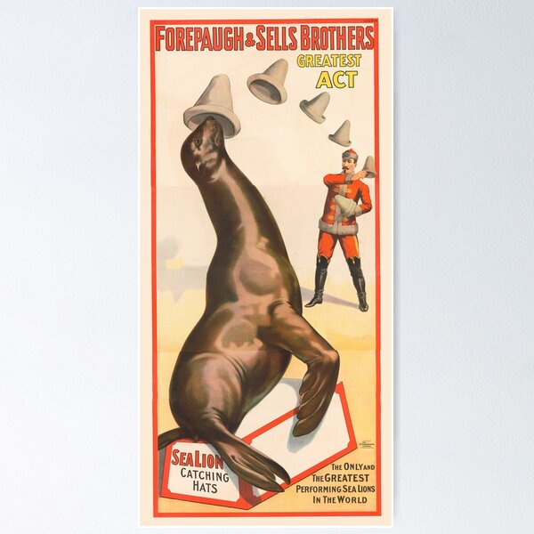 Item preview, STK501849A-Vintage circus poster of a sea lion catching hats. designed and sold by StocktrekImages.