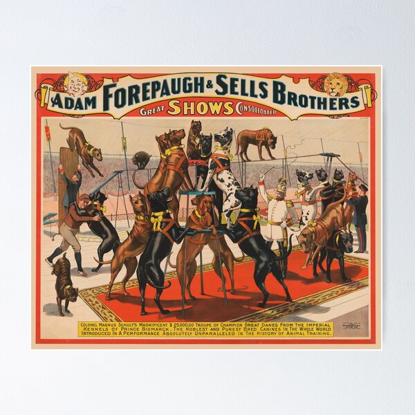 Item preview, STK501850A-Vintage circus poster of Great Danes performing with trainer. designed and sold by StocktrekImages.