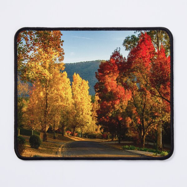 Item preview, Autumn in Barbery Street designed and sold by brightmystic.