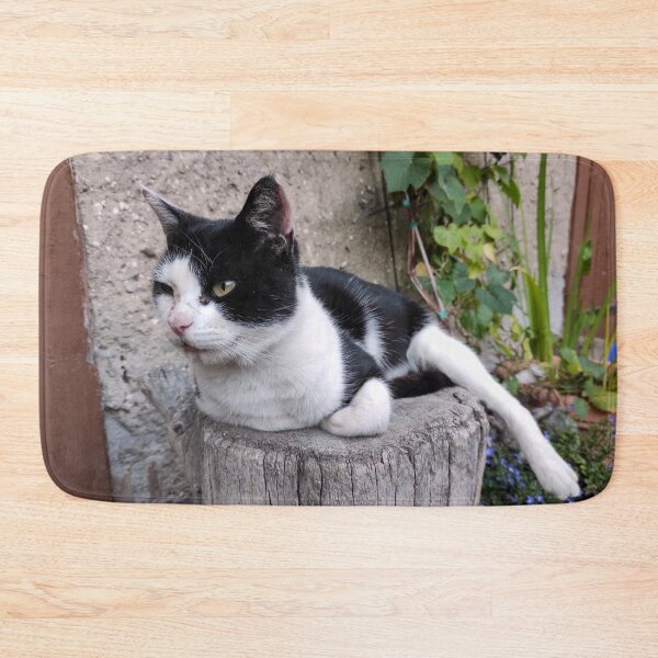 Item preview, A court cat is watching designed and sold by Gourmetkater.