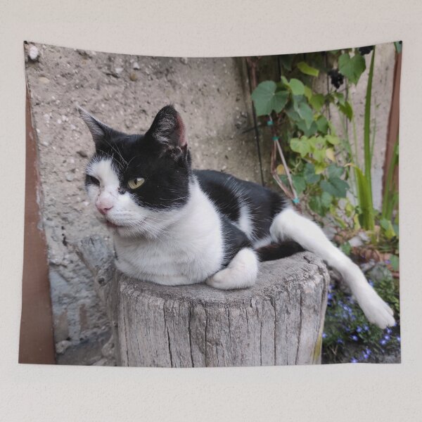 Item preview, A court cat is watching designed and sold by Gourmetkater.