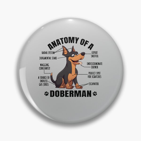 Item preview, Anatomy of a Doberman Funny Clipart Design for Dobermann Lover designed and sold by MysteriousJ.