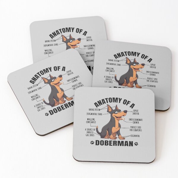 Item preview, Anatomy of a Doberman Funny Clipart Design for Dobermann Lover designed and sold by MysteriousJ.