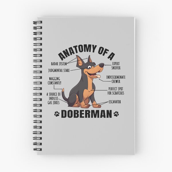 Item preview, Anatomy of a Doberman Funny Clipart Design for Dobermann Lover designed and sold by MysteriousJ.