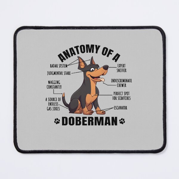 Item preview, Anatomy of a Doberman Funny Clipart Design for Dobermann Lover designed and sold by MysteriousJ.