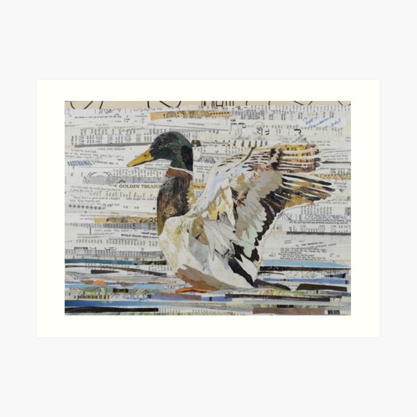 Mallard Duck Collage Art CE White Art Art Print