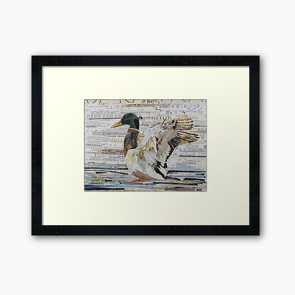 Mallard Duck Collage Art CE White Art Framed Art Print