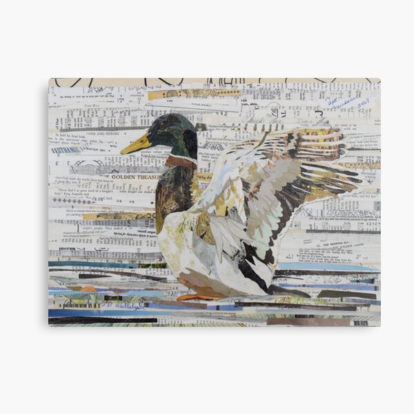 Mallard Duck Collage Art CE White Art Metal Print
