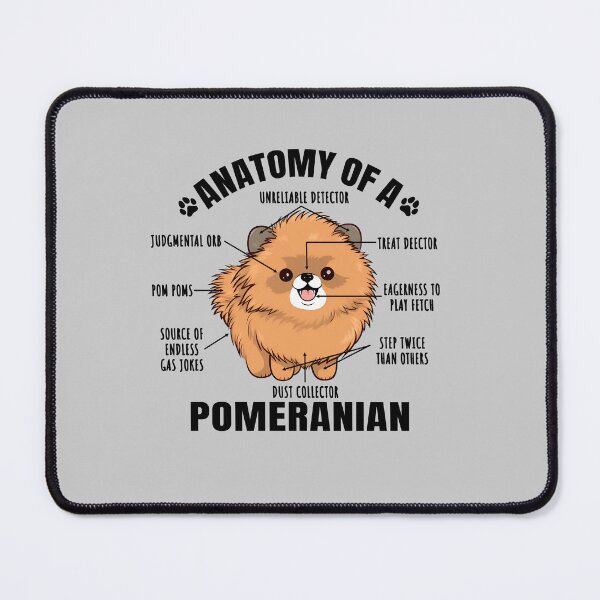 Item preview, Anatomy of a Pomeranian Funny Clipart Design for Pomeranian Lover designed and sold by MysteriousJ.