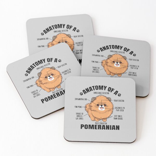 Item preview, Anatomy of a Pomeranian Funny Clipart Design for Pomeranian Lover designed and sold by MysteriousJ.