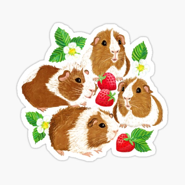 The Sweetest Guinea Pigs with Summer Strawberries on Yellow Linen Sticker for Sale by micklyn Redbubble