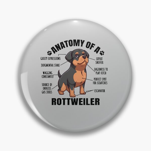 Item preview, Anatomy of a Rottweiler Funny Clipart Design for Rottweiler Lover designed and sold by MysteriousJ.