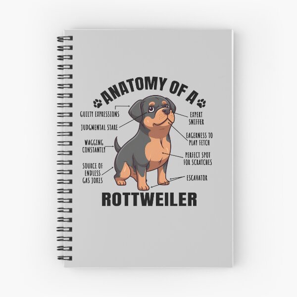 Item preview, Anatomy of a Rottweiler Funny Clipart Design for Rottweiler Lover designed and sold by MysteriousJ.