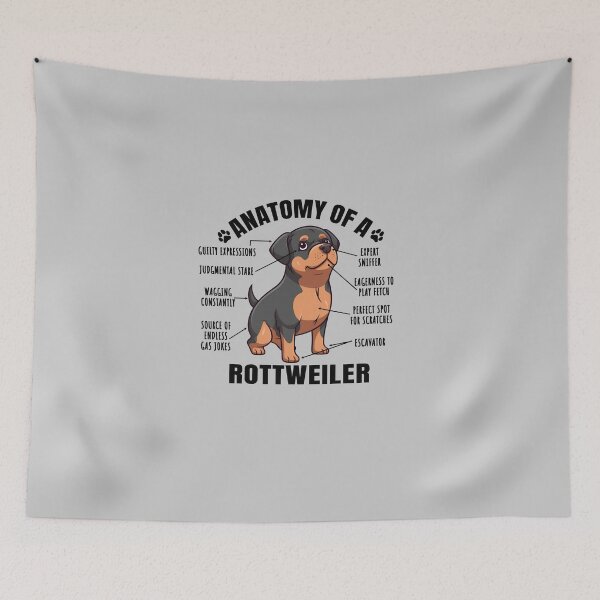 Item preview, Anatomy of a Rottweiler Funny Clipart Design for Rottweiler Lover designed and sold by MysteriousJ.