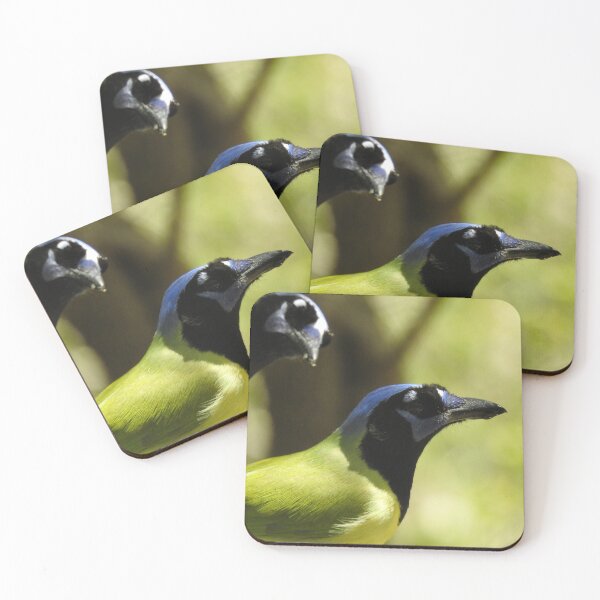 Artikelvorschau, Green Jays-Druck entworfen und verkauft von Paul-Prints.