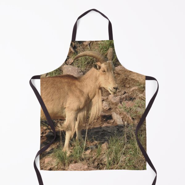 Item preview, Barbary Sheep Print designed and sold by Paul-Prints.