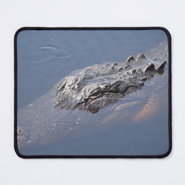 Item preview, American Alligator Closeup Print designed and sold by Paul-Prints.