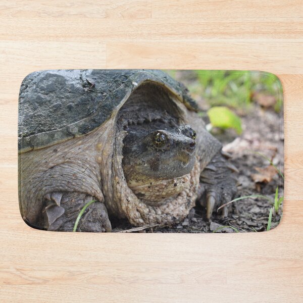 Item preview, Common Snapping Turtle Print designed and sold by Paul-Prints.