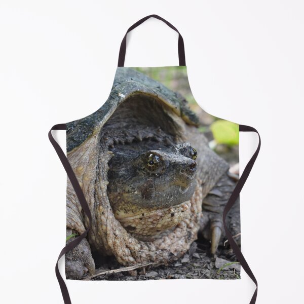 Item preview, Common Snapping Turtle Print designed and sold by Paul-Prints.
