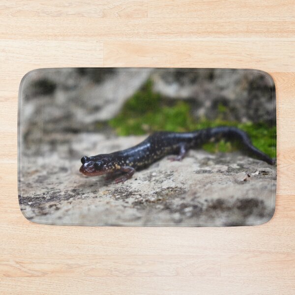 Item preview, Western Slimy Salamander Print designed and sold by Paul-Prints.