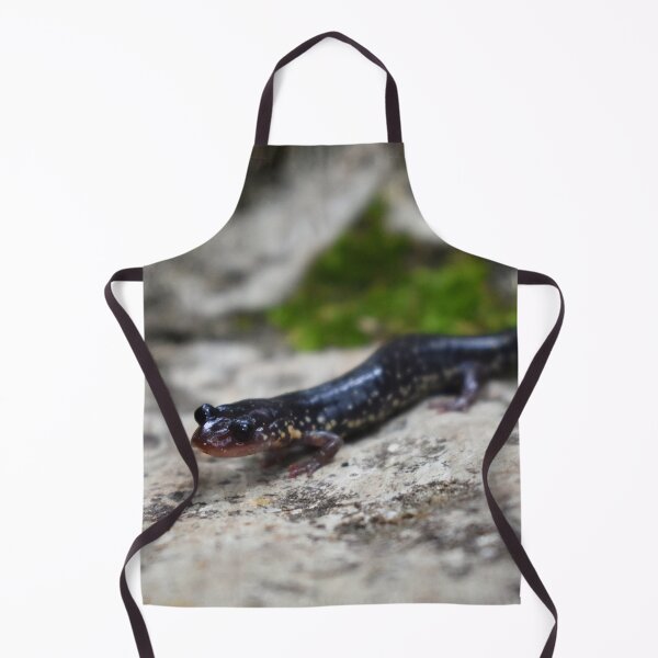 Item preview, Western Slimy Salamander Print designed and sold by Paul-Prints.