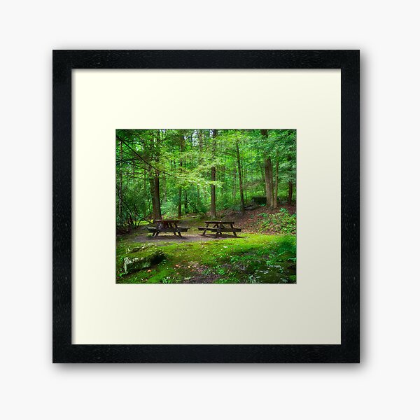 Item preview, CCC Wayside Memorial picnic Area designed and sold by Kathy Weaver.