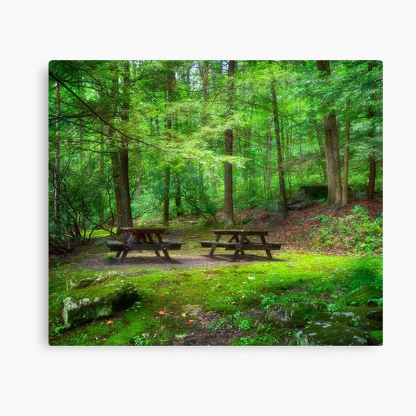 Item preview, CCC Wayside Memorial picnic Area designed and sold by Kathy Weaver.