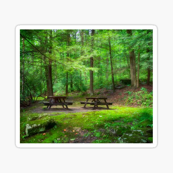 Item preview, CCC Wayside Memorial picnic Area designed and sold by Kathy Weaver.