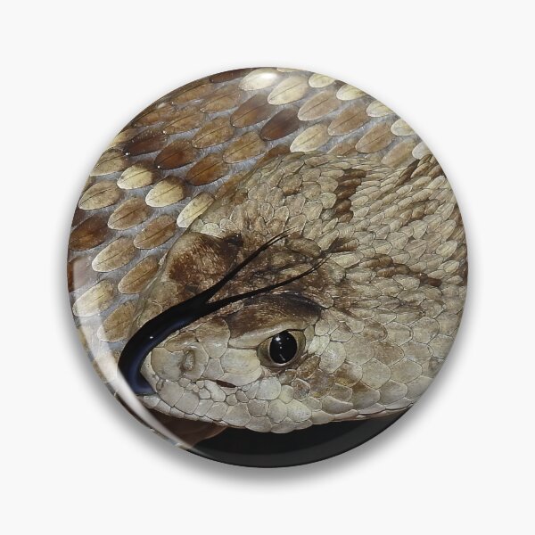 Item preview, Mojave Rattlesnake Print designed and sold by Paul-Prints.