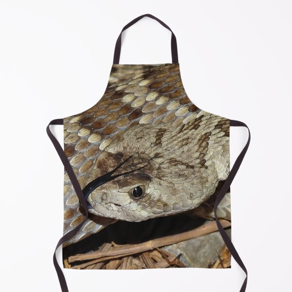 Item preview, Mojave Rattlesnake Print designed and sold by Paul-Prints.