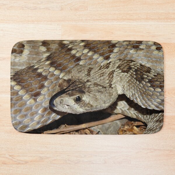 Item preview, Mojave Rattlesnake Print designed and sold by Paul-Prints.