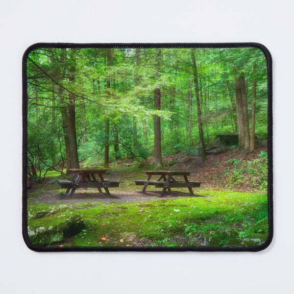Item preview, CCC Wayside Memorial picnic Area designed and sold by Kathy Weaver.