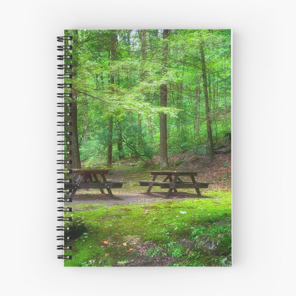 Item preview, CCC Wayside Memorial picnic Area designed and sold by Kathy Weaver.
