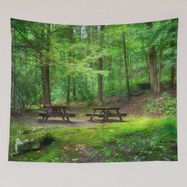Item preview, CCC Wayside Memorial picnic Area designed and sold by Kathy Weaver.