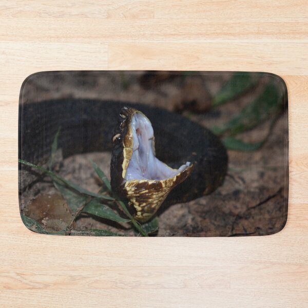 Item preview, Northern Cottonmouth Gaping Print designed and sold by Paul-Prints.