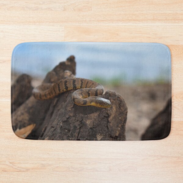 Item preview, Diamondback Water Snake Print designed and sold by Paul-Prints.