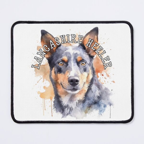 Item preview, lancashire heeler designed and sold by Tee Studio.