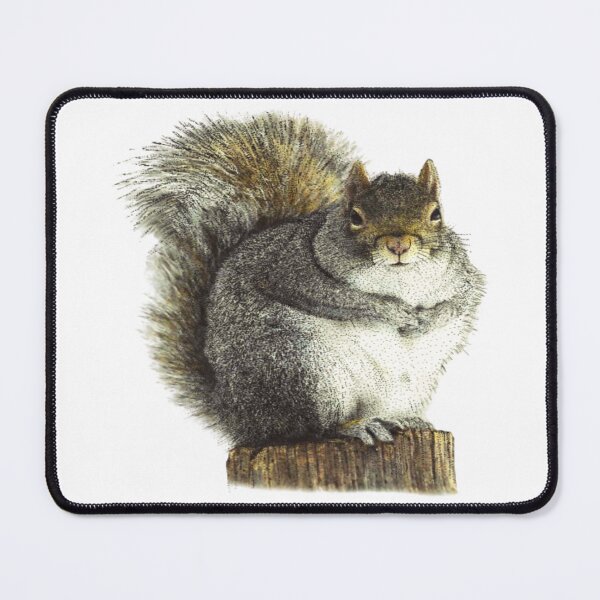 Item preview, THE EASTERN GRAY SQUIRELL. designed and sold by painting23.