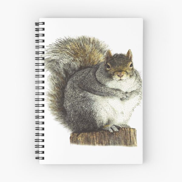 Item preview, THE EASTERN GRAY SQUIRELL. designed and sold by painting23.