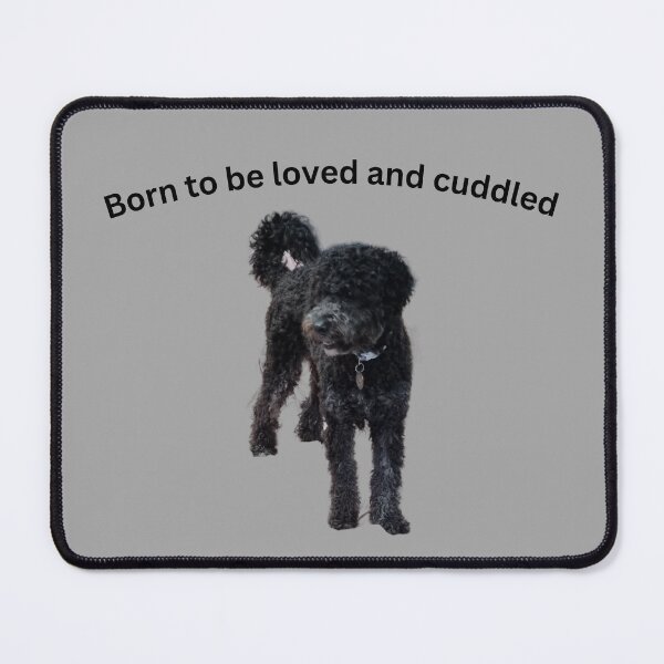Item preview, Born to be loved and spoilt. black poodle designed and sold by Debsgiftware Ward.