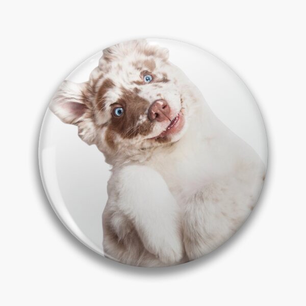 Item preview, Portraying the Australian Shepherds Love, Loyal Companions: the Australian Shepherd's Devotion designed and sold by Rebass.