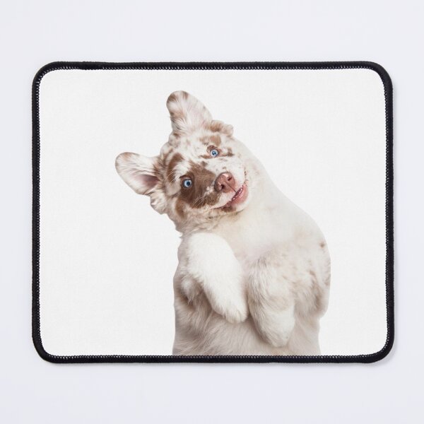 Item preview, Portraying the Australian Shepherds Love, Loyal Companions: the Australian Shepherd's Devotion designed and sold by Rebass.