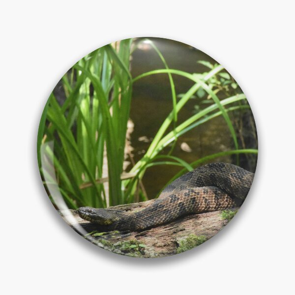 Item preview, Brown Water Snake Closeup Print designed and sold by Paul-Prints.