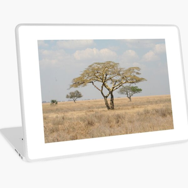 Item preview, Beautiful Acacia Tree designed and sold by SavingMemories.