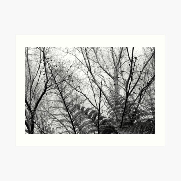 Lines Above Art Print