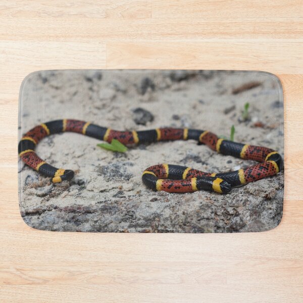 Item preview, Texas Coral Snake Print designed and sold by Paul-Prints.